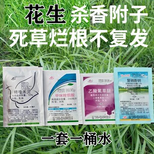 风刹三决花生香附子苗后除草剂乙羧氟草醚甲咪唑烟酸精喹禾灵农药
