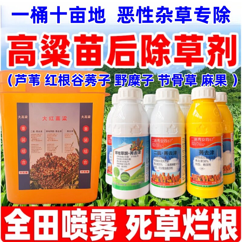 大红高粱田苗后专用除草剂26%二氯喹啉酸·苯唑莠去津高粱田芦苇