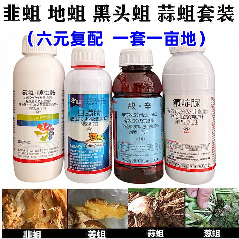 地蛆一灌净杀地蛆药地下害虫韭蛆