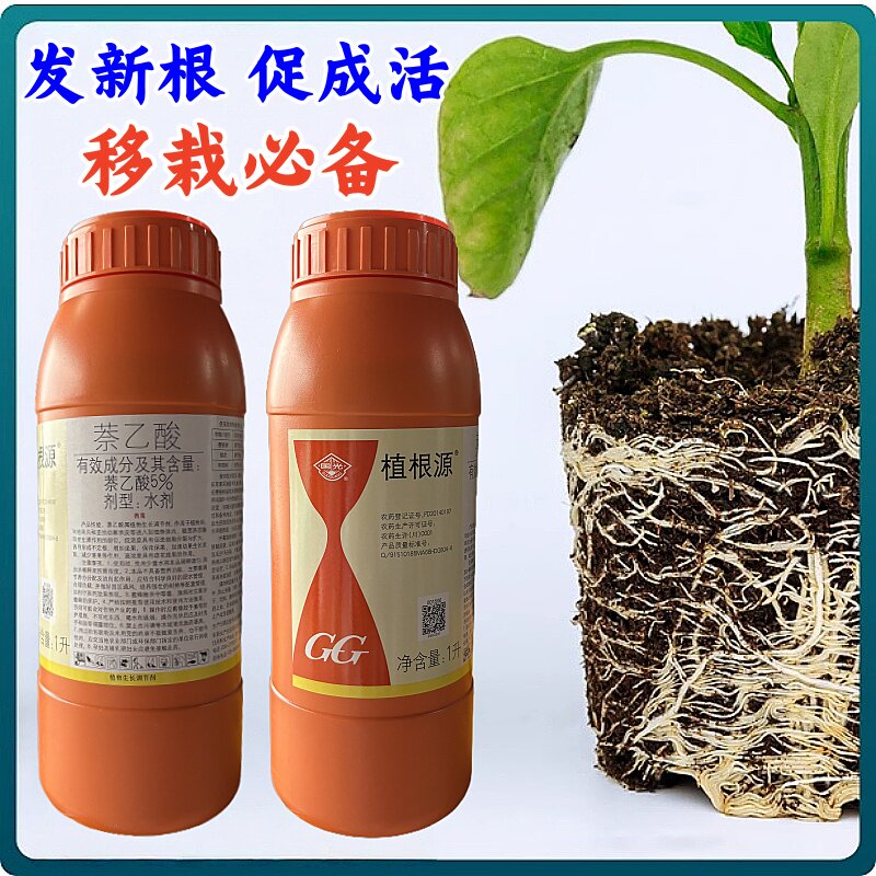 国光植根源5%萘乙酸生根剂水移栽