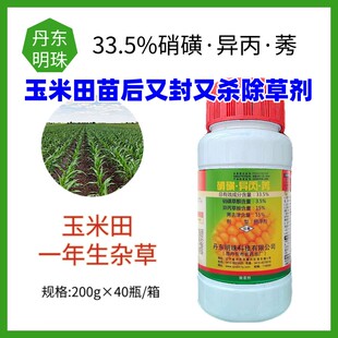 丹东明珠 秋实33.5%硝磺异丙莠 玉米田又封又杀苞米地苗后除草剂