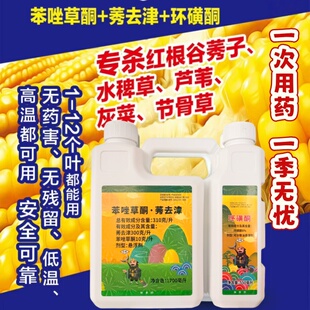 31%苯唑莠去津苯唑草酮玉米田二次封杀除草剂环磺酮苞米地芦苇草