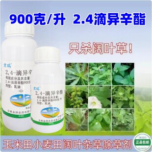 金泽肃瑞24滴异辛酯除草剂小麦玉米阔叶杂草24D灰灰菜打碗花除草