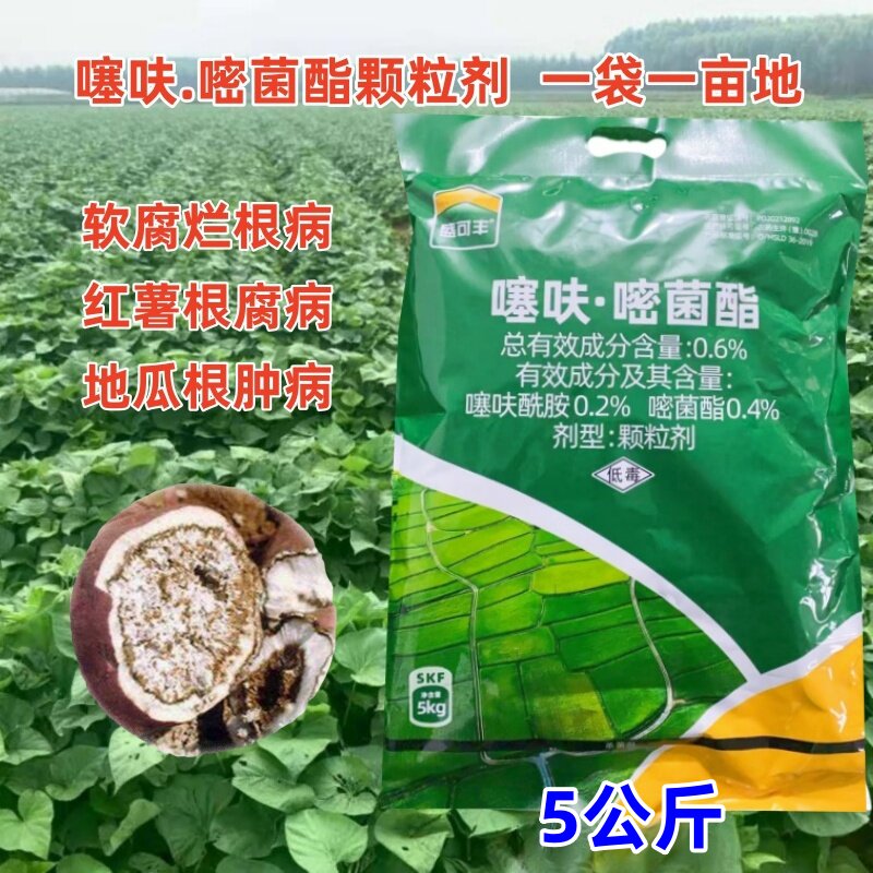 噻呋酰胺嘧菌酯颗粒剂土壤杀菌颗