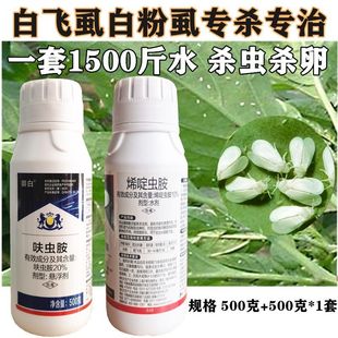 呋虫胺烯啶虫胺白飞虱组合套装杀虫剂抗性白飞虱烟粉虱蚜虫腻虫