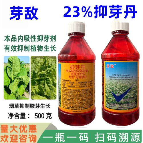 23%抑芽丹烟草白术果树抑制侧芽