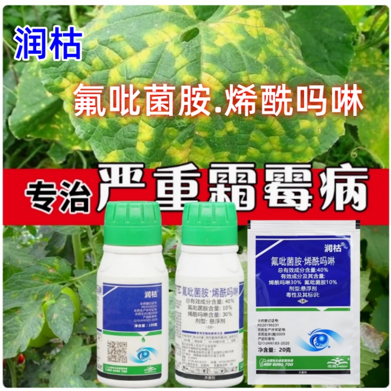 迅超润枯40%氟吡菌胺烯酰吗啉 马铃薯晚疫病霜霉病专用农药杀菌剂