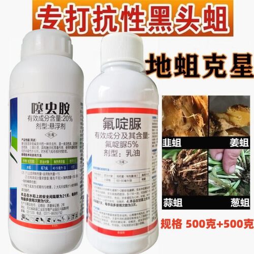 韭蛆专用噻虫胺氟啶脲地蛆韭蛆蛆