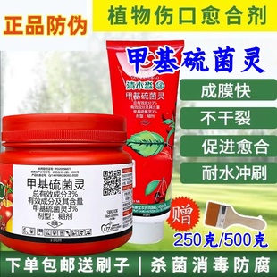 清木淼3%甲基硫菌灵果树剪口锯口涂抹剂树木伤口愈合剂盆栽嫁接活