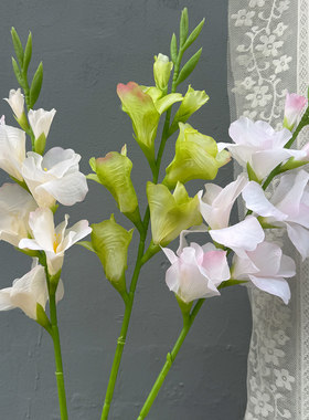 单支莫奈香芋紫色剑兰仿真花高品质绢布步步高升长枝落地装饰假花