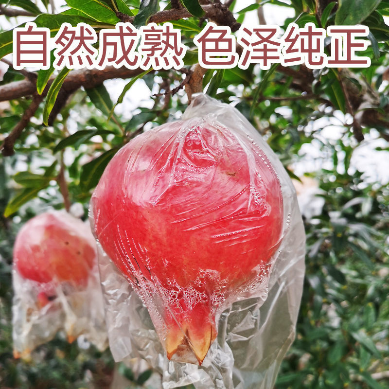 建水酸甜石榴套带果半口石榴非纯酸石榴云南水果硬籽石榴非甜石榴