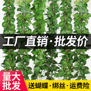 仿真葡萄叶假花藤条藤蔓植物塑料绿萝树叶子绿叶下水管道装 饰吊顶