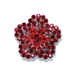 Popits人字拖专用配饰五瓣花系列