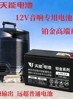 天能音响铂金高端电池12v9ah耐用