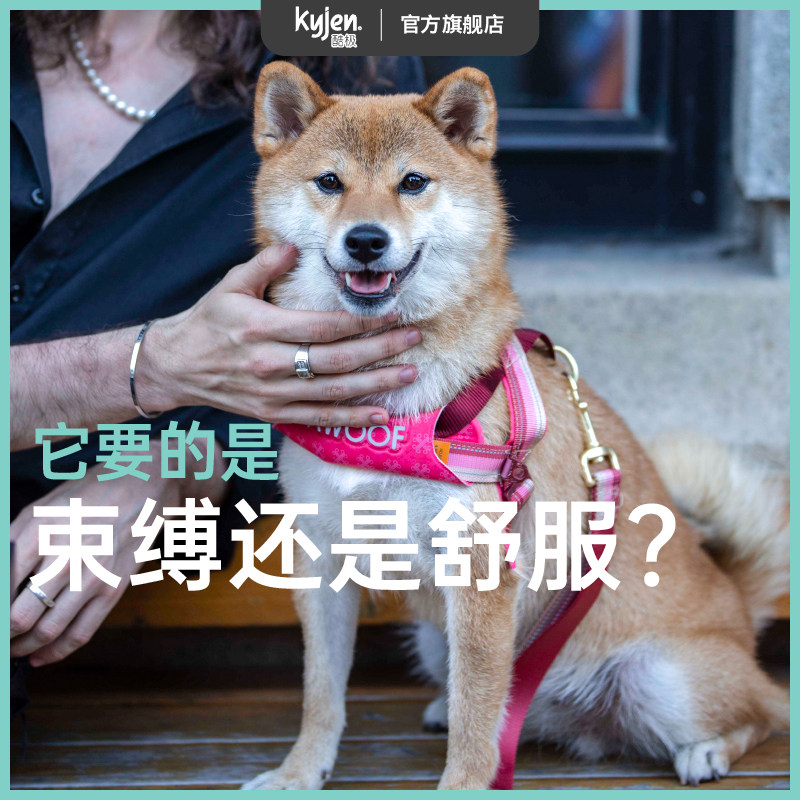 酷极狗狗牵引绳牵狗绳小狗绳子胸背小型犬泰迪柯基背带宠物背心式