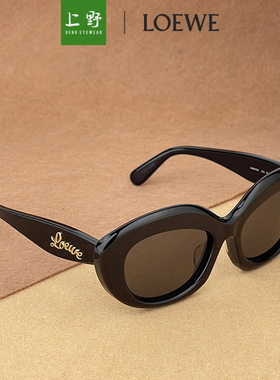 上野眼镜 LOEWE 25年新款墨镜 太阳镜俏皮 个性 LW40153F