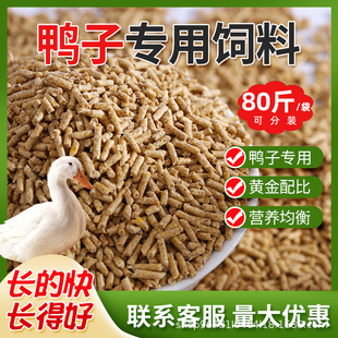 厂家直销80斤鸭饲料喂鸭小鸭开口育肥肉鸭产蛋颗粒全价养殖场专用