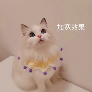 现货春季宠物布偶长毛猫围巾猫咪狗狗围脖针织红色猫狗项圈饰品