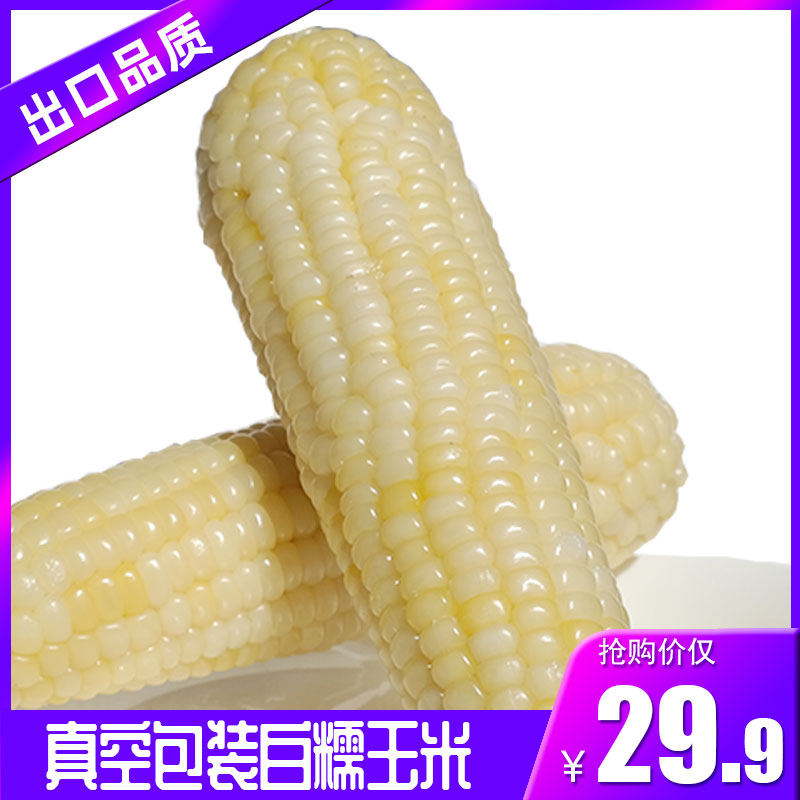 万华天宝甜糯玉米棒熟制新鲜粘白糯有机出口品质真空包装【8根装