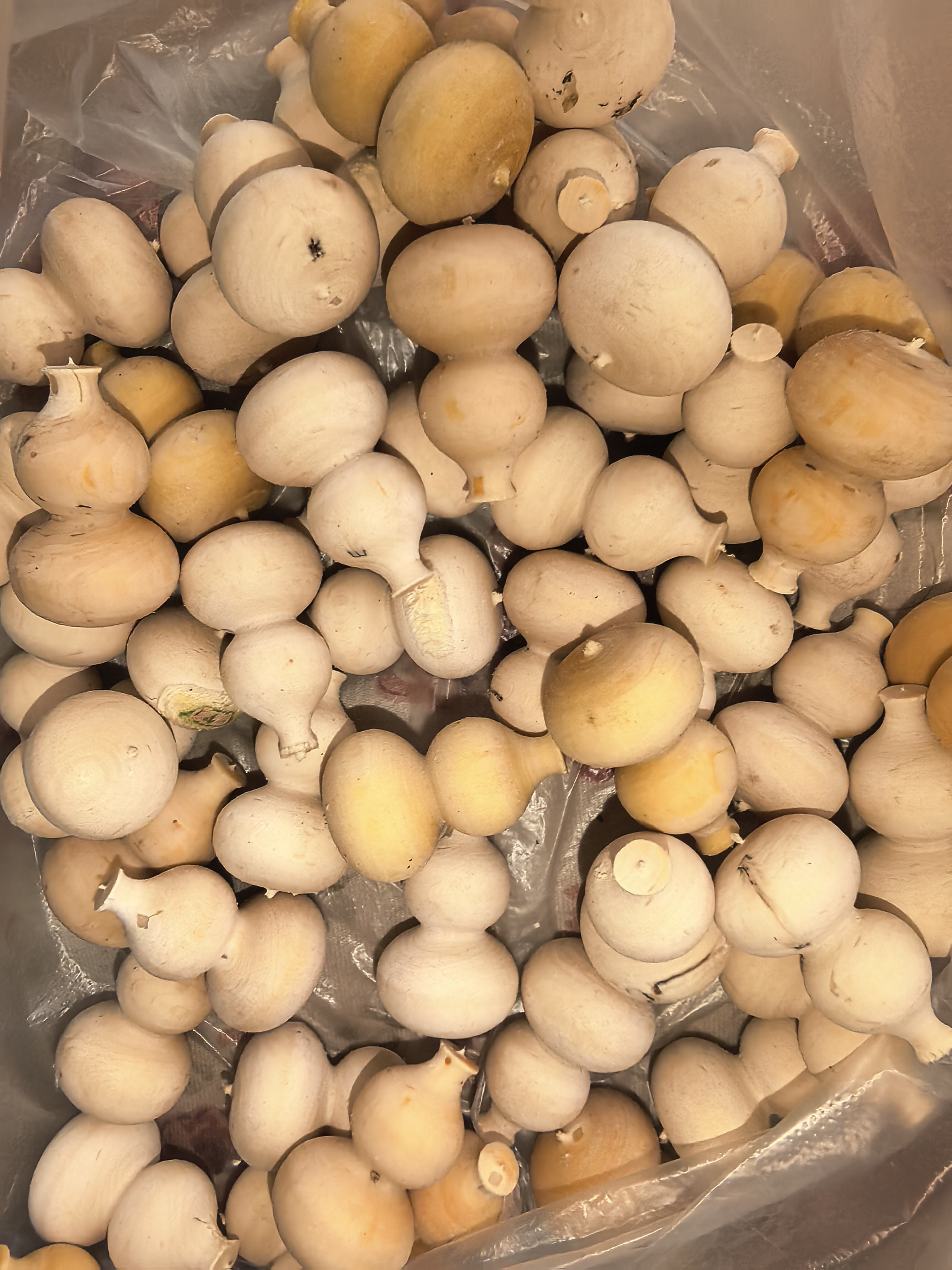 鬼见愁小葫芦鬼见愁木制小葫芦原木原色无漆无蜡保真包对版包邮