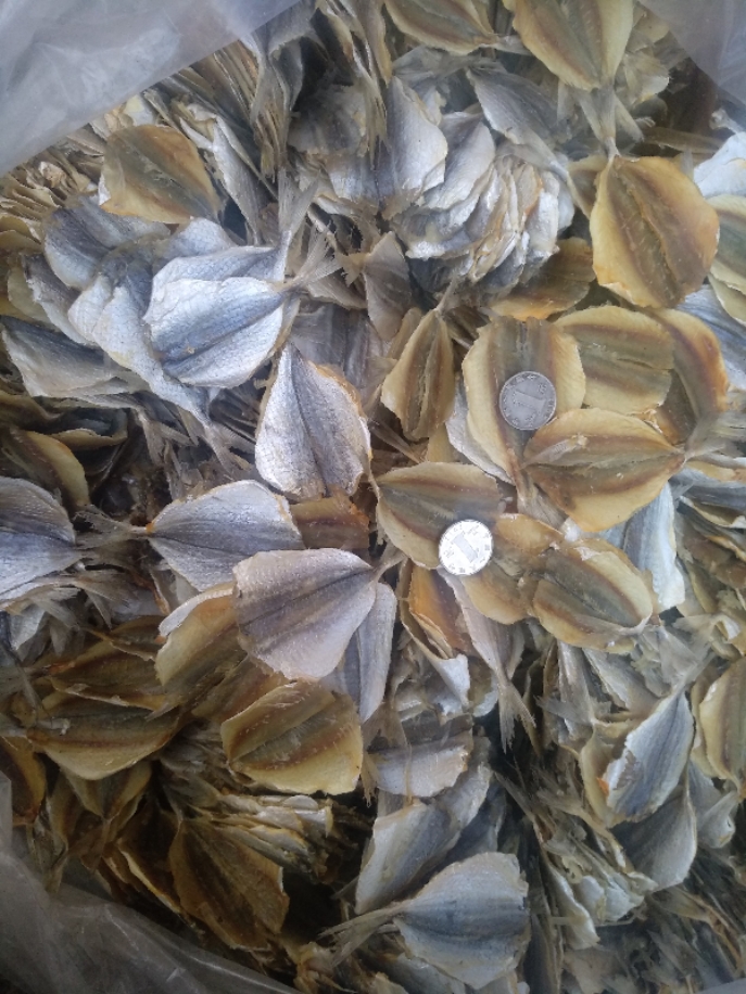 多味鱼/开心鱼干金丝鱼黄花鱼片烤鱼片2500克烧烤佳品5斤金丝鱼片,水产肉类/新鲜蔬果/熟食,鱼干,淘宝优惠券,粉丝福利购,淘宝优惠卷