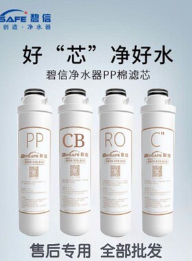 碧信净水器碧信滤芯中燃宝盈沣泰
