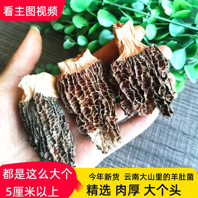实惠云南野生碎片羊肚菌干货破损