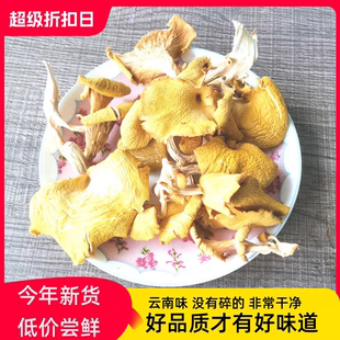 云南特产鸡油菌榆黄蘑黄金菇野生菌干货100克黄丝菌煲汤食材包邮