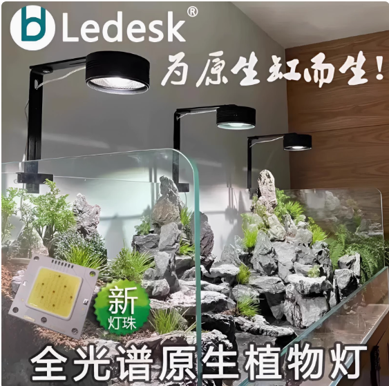 乐迪LED溪流缸灯爆藻金鱼