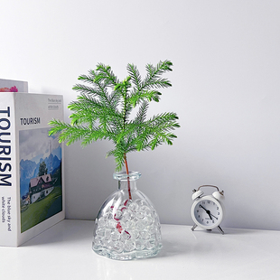 南洋杉办公室内绿植净化空气客厅桌面美观好养北欧风解压懒人水培