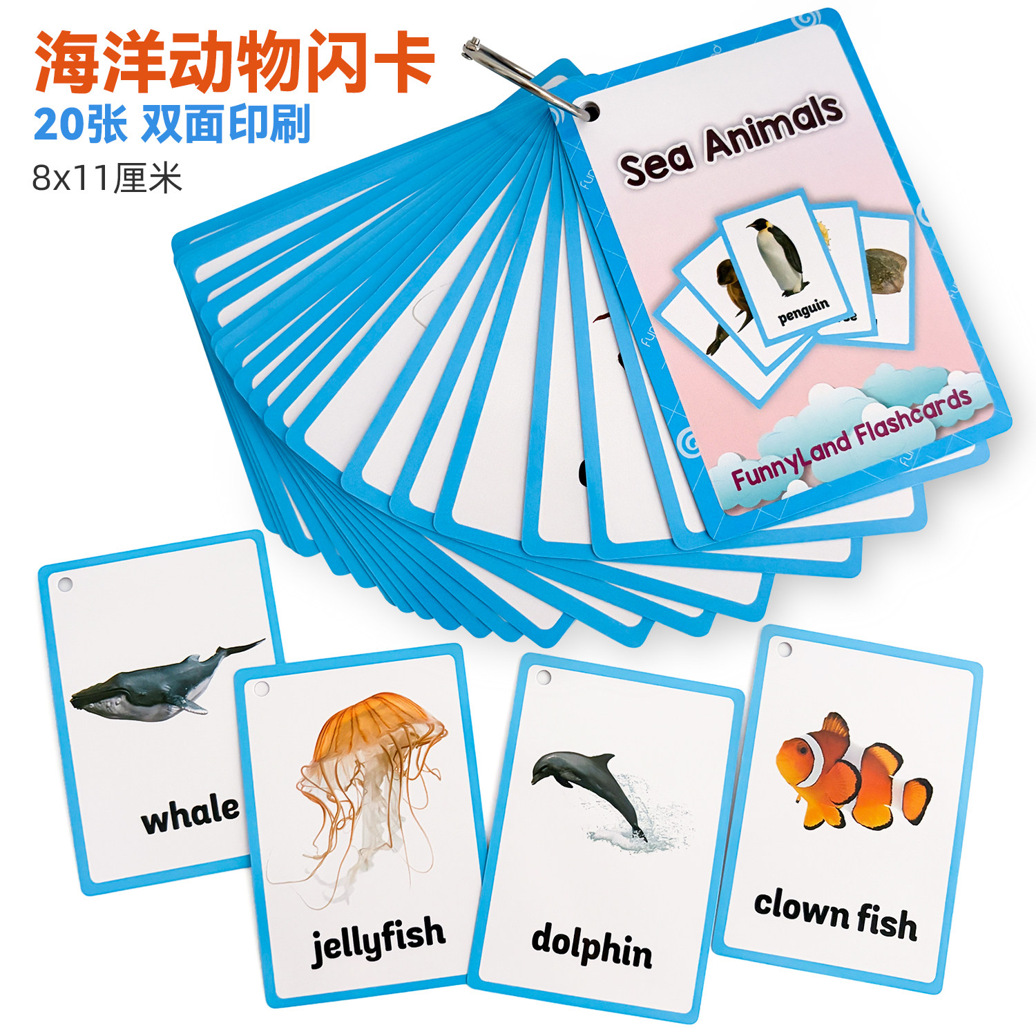 野生/海洋动物小蝌蚪点读闪卡图片