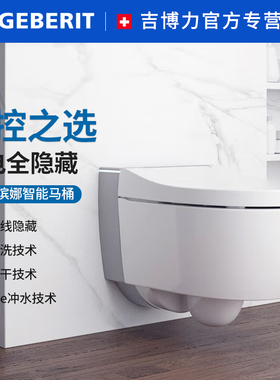 GEBERIT吉博力Spina滨娜一体智能坐便器壁挂式马桶