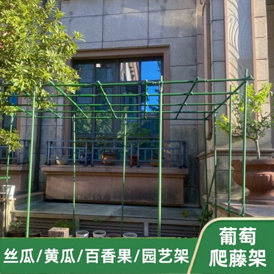 葡萄百香果爬藤架庭院户外丝瓜黄瓜架植物瓜棚支撑杆月季蔷薇花架