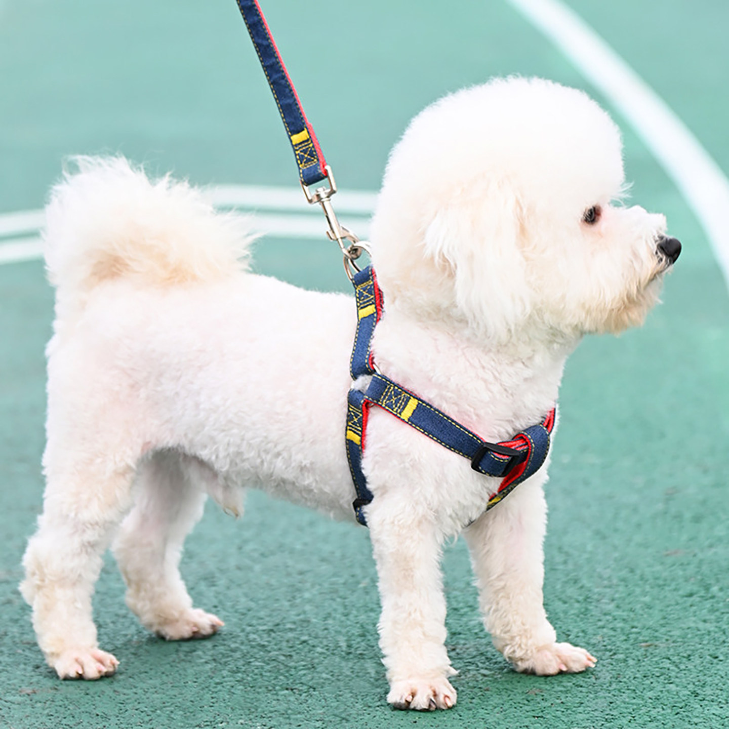 狗狗牵引绳大型中型小型犬狗链子图片