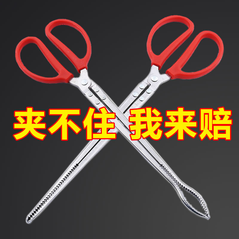 不锈钢黄鳝夹子鳝鱼夹泥鳅螃蟹钳子防滑脱赶海神器抓龙虾专用工具,户外/登山/野营/旅行用品,控鱼钳,淘宝优惠券,粉丝福利购,淘宝优惠卷
