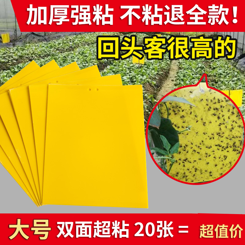黄板双面粘虫板贴纸小飞虫
