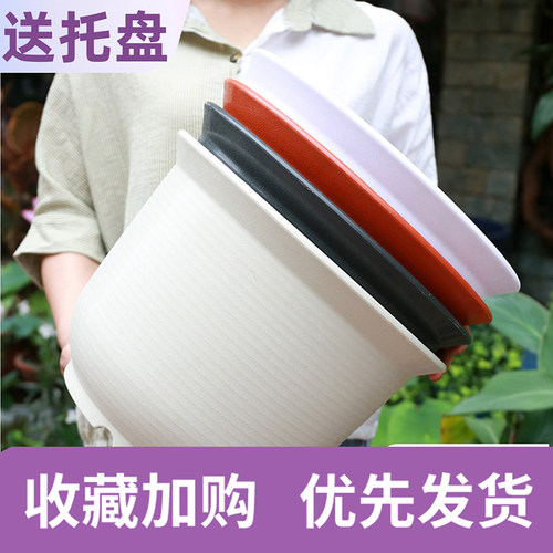 环保塑料北欧树脂花盆花卉绿植