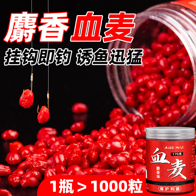 谷麦钓血麦粒颗粒鱼料鱼食野钓黑坑鲤鱼青鱼钓饵鱼饵专用钓鱼饵料