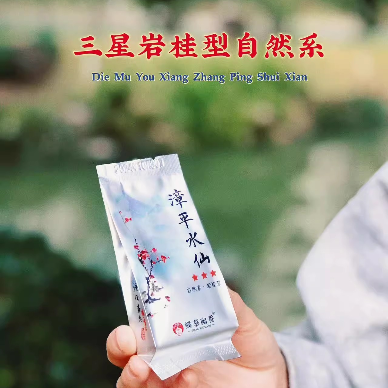 如兰似桂蝶慕幽香漳平水仙