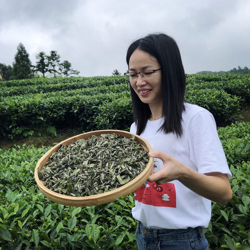 斤装2020年荒山带质检证书牡丹