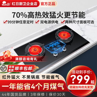 红日红外线燃气灶定时灶70%高热效家用灶具台嵌两用双灶EM618B