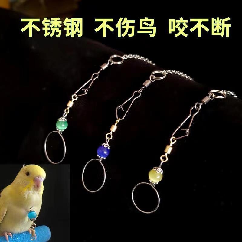 玄凤虎皮牡丹鹦鹉脖圈脖套八哥不锈钢栓鸟链站架驯鸟遛鸟脖圈链子