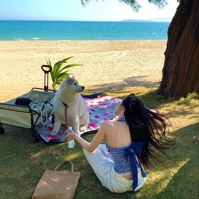 内搭格子短款辣妹女上衣挂脖背心外穿蕾丝拼接美背蝴蝶结夏季修身