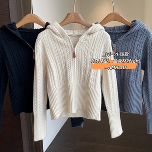 AMR UU◆巨洋气 慵懒时髦显瘦绞花针织连帽开衫毛衣女外套秋冬新