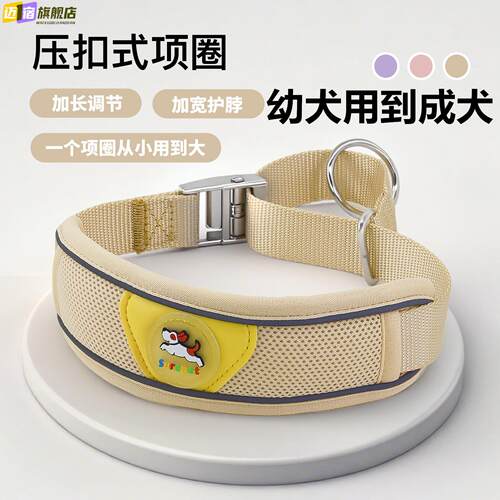 狗狗项圈幼犬到成犬宠物脖套小狗脖圈可调节拴狗圈牵引绳套装颈圈