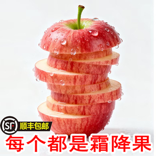 【顺丰包邮】精品条纹苹果平陆苹果现摘现发时令生鲜精品礼盒