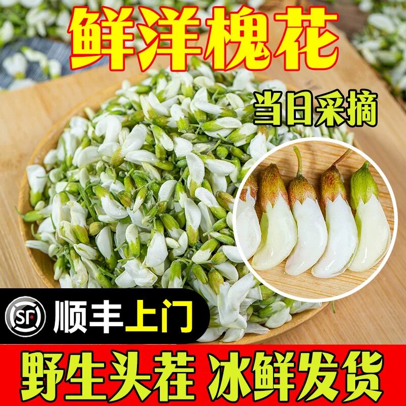 【顺丰包邮】2026年新鲜洋槐花纯天然野生槐花花骨朵可食用花苞