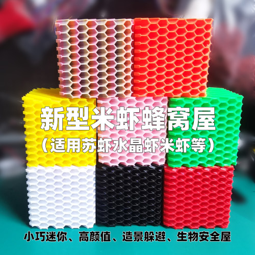 小虾米虾苏虾水晶虾躲避多孔窝