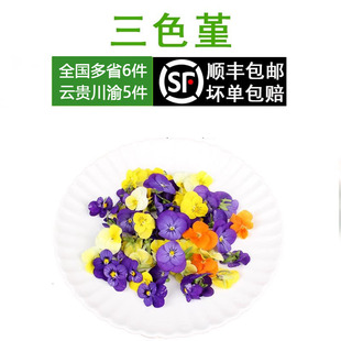 三色堇新鲜三色花可食用鲜花西餐摆盘装饰当天采摘五件顺丰包邮