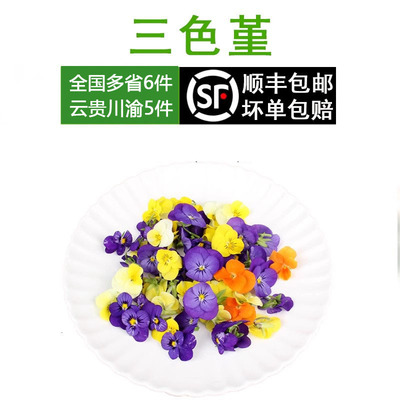 三色堇新鲜当天采摘五件三色花
